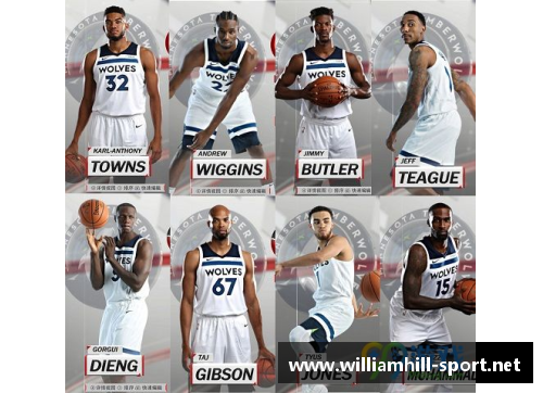 揭秘NBA森林狼球员名单：阵容与球员风采一览