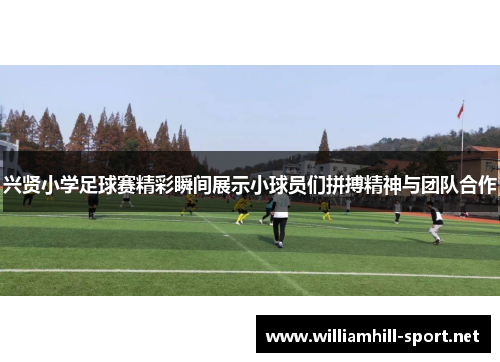 兴贤小学足球赛精彩瞬间展示小球员们拼搏精神与团队合作